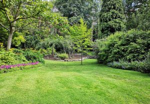 Optimiser l'expérience du jardin à Poey-d'Oloron