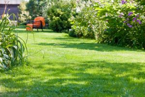 travaux jardin et paysage Poey-d'Oloron